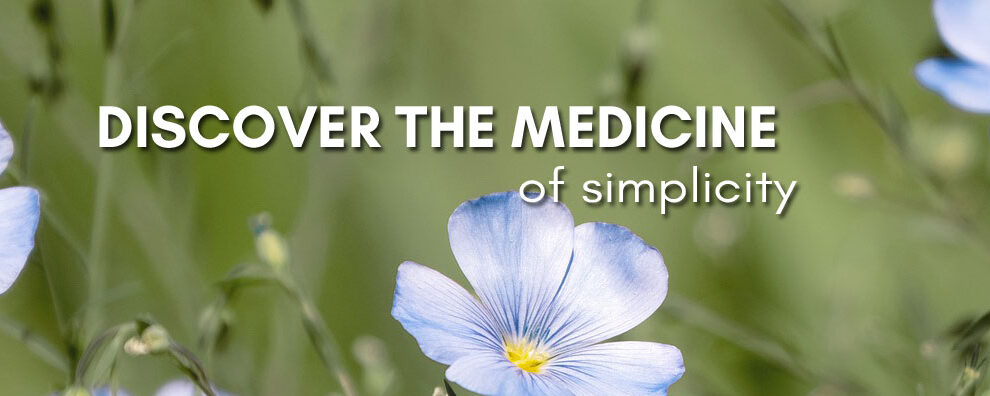 Discover the Medicine of Simplicity (blue flowers in field)