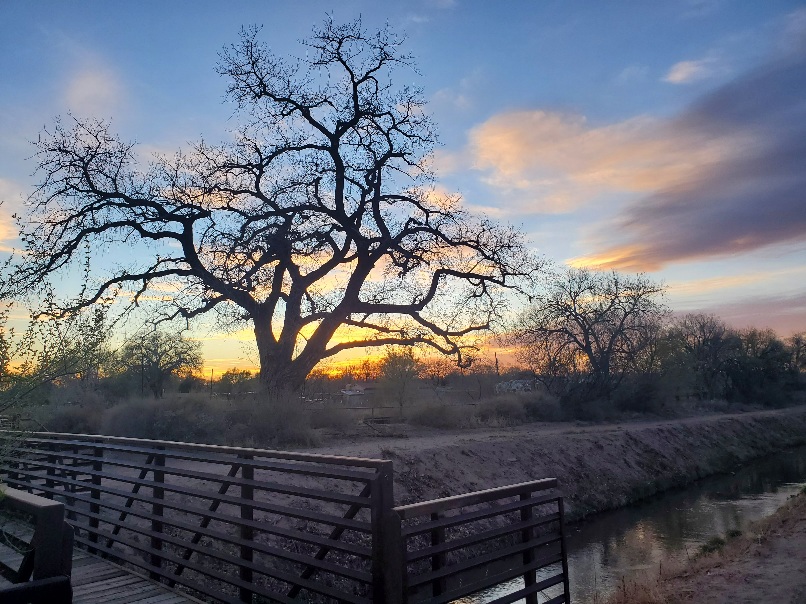 Silhouetted cottonwood trees against sunset sky, irrigation ditch full of water, and small bridge stretching over